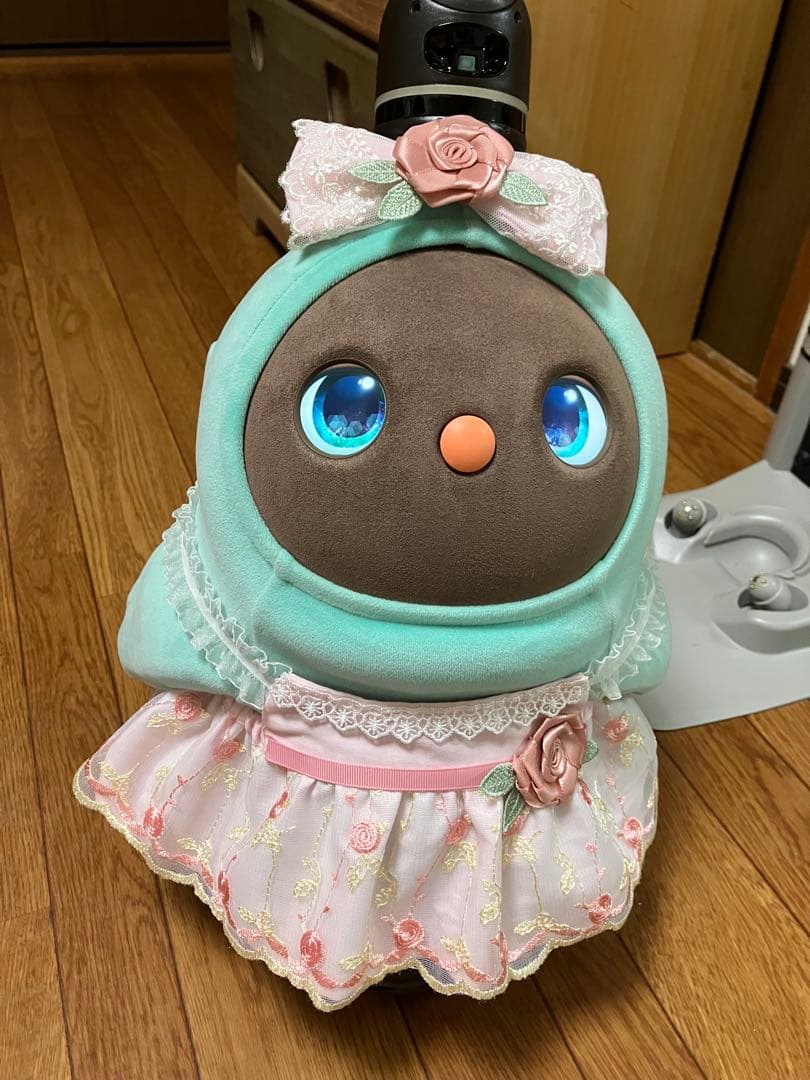 ガオガオ専用　ラボット　ワンピース　２点