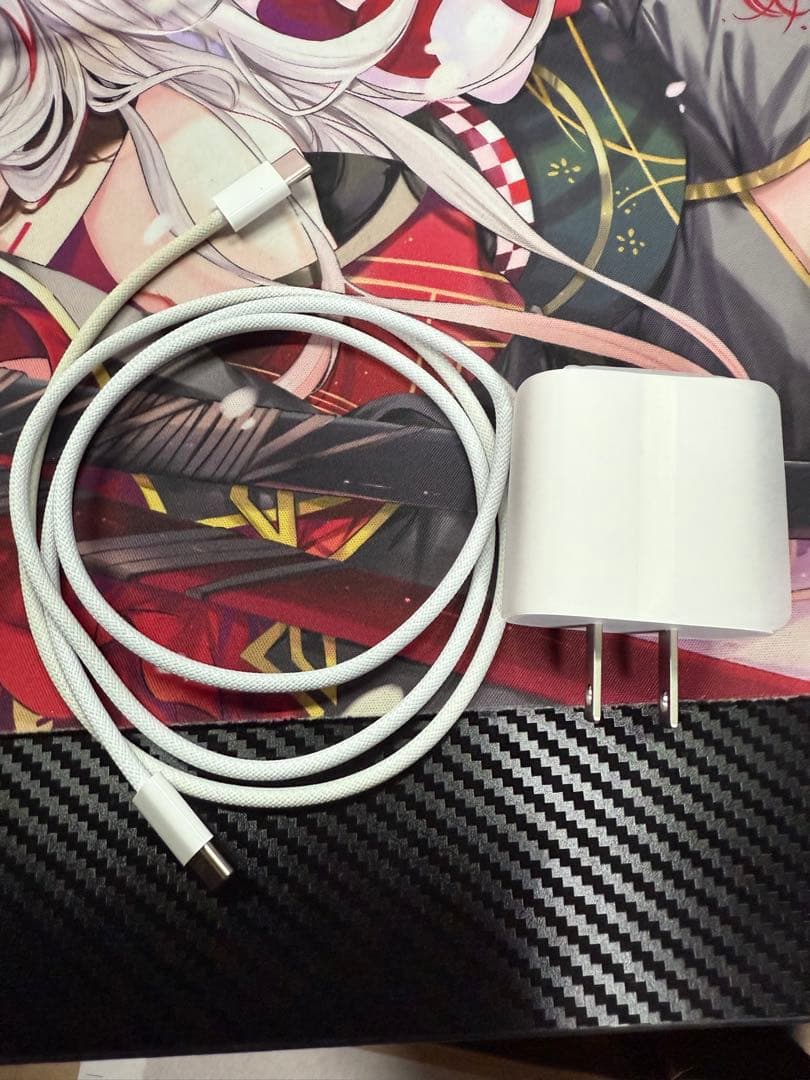 iPad本体 ichi