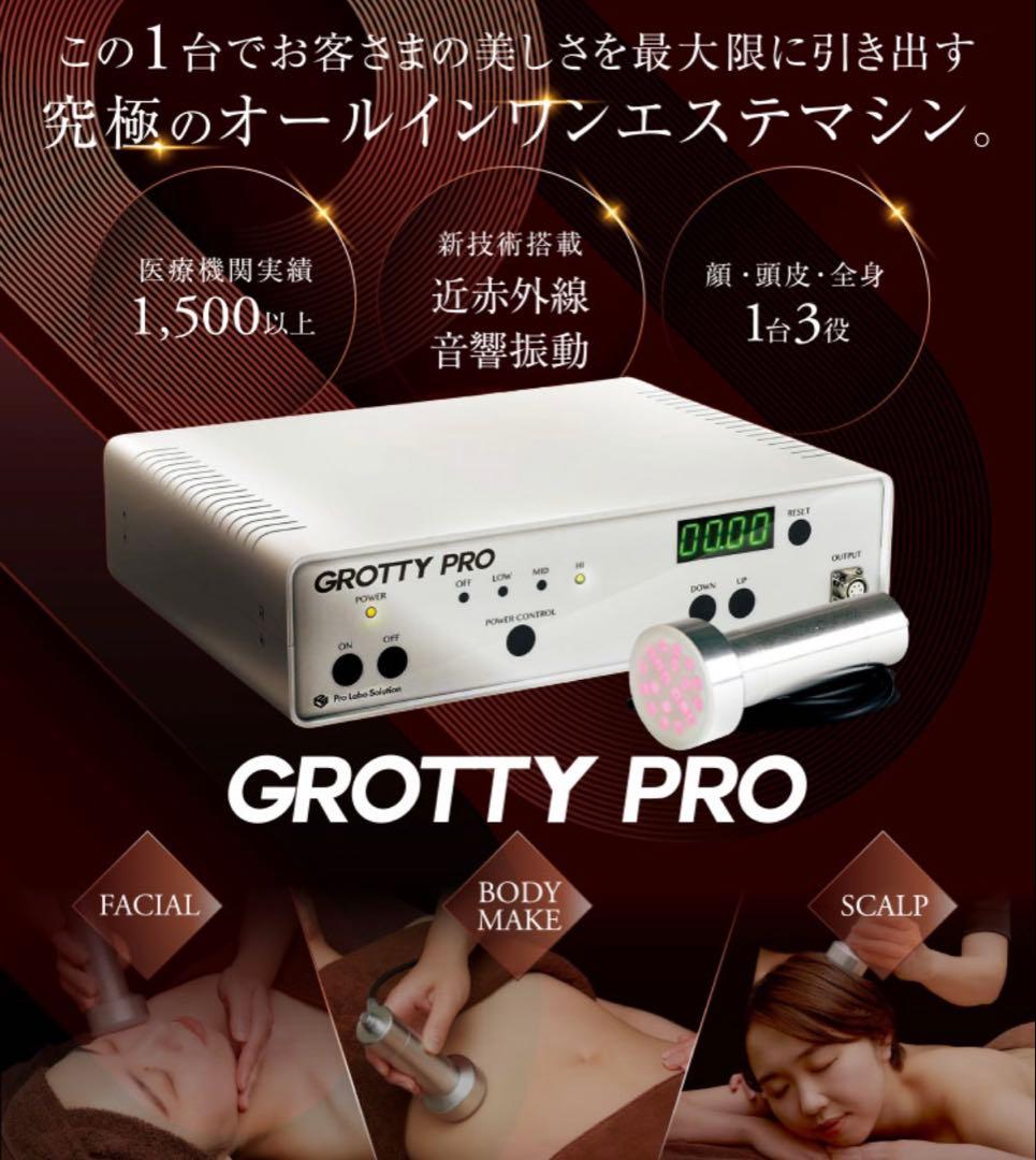極美品/グロッティプロ GROTTY PRO 導入機 美顔器 脂肪溶解 肌質改善