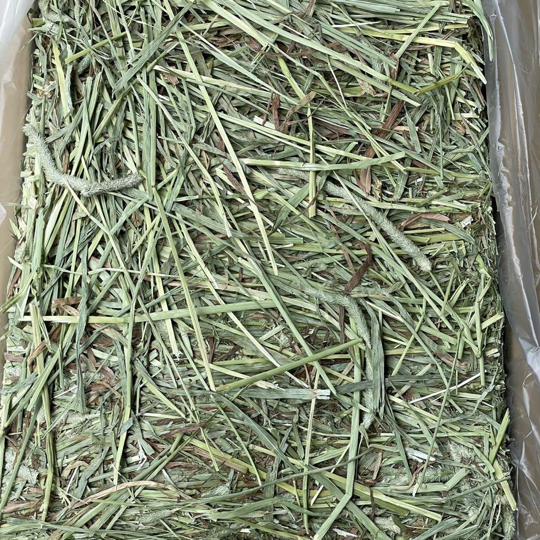 ★NEW! チモシー29kg 新物◼︎プレミアム1番刈 ペットフード うさぎ 牧草
