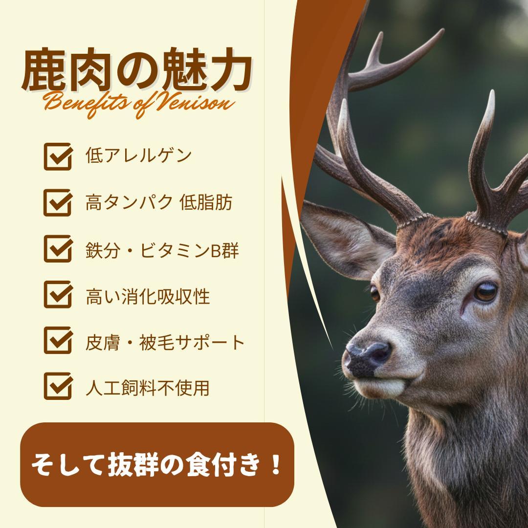 天然鹿肉生ジャーキー 40g×10袋セット 無添加 山口県産 冷凍