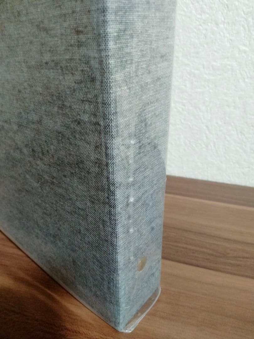 DELFONICS デルフォニクス フォトアルバム L 2冊 粘着台紙30シート