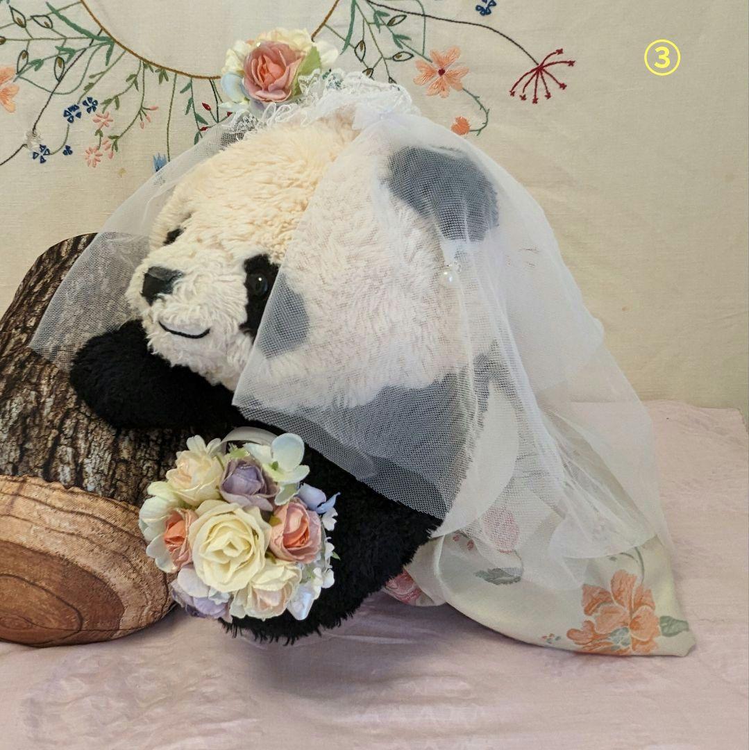 【予告】抱っこシャン♡２歳シャン♡ウエディングドレス