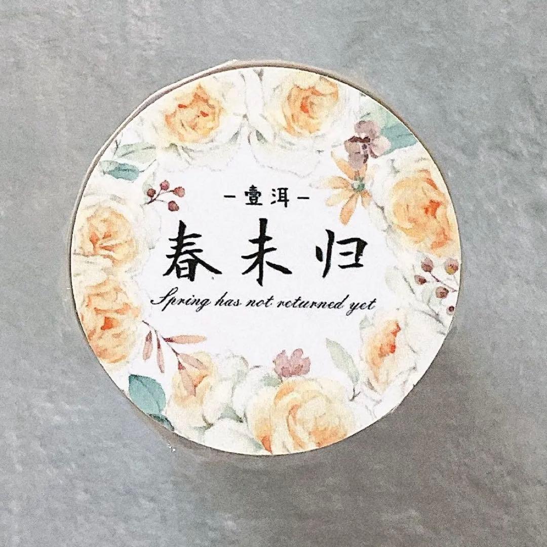 ⭐️SALE⭐️壹洱原创《春未归》海外マスキングテープ　マステ 【1925】