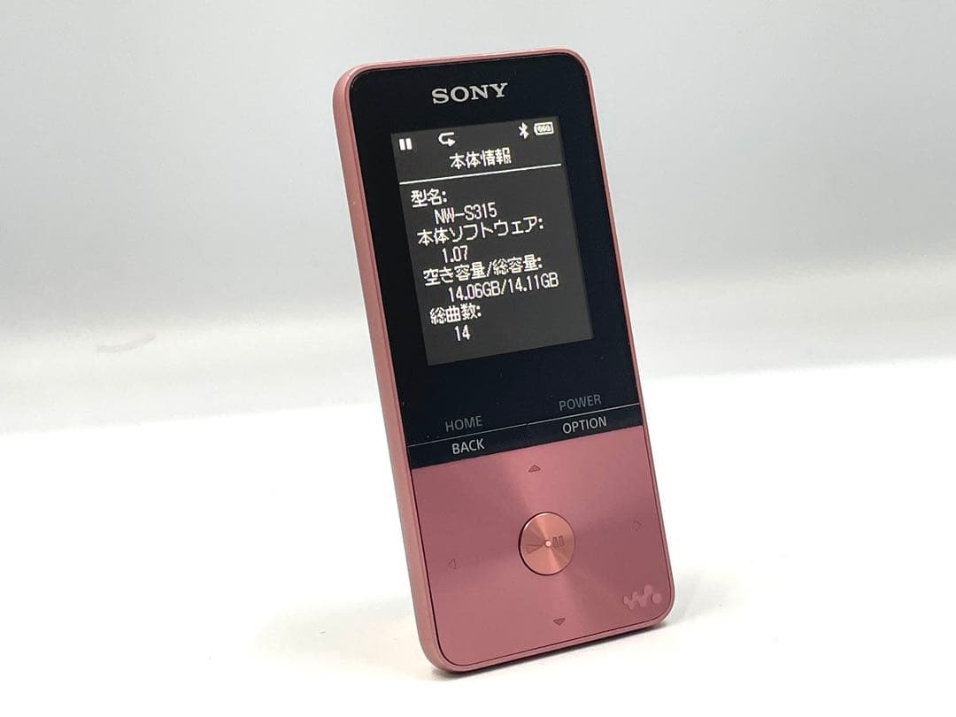 バッテリー良好　外観美品　SONY WALKMAN NW-S315 16GB