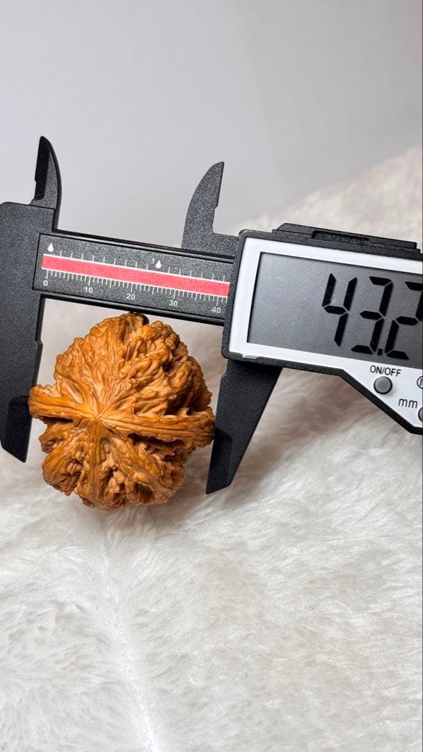 43大粗筋
