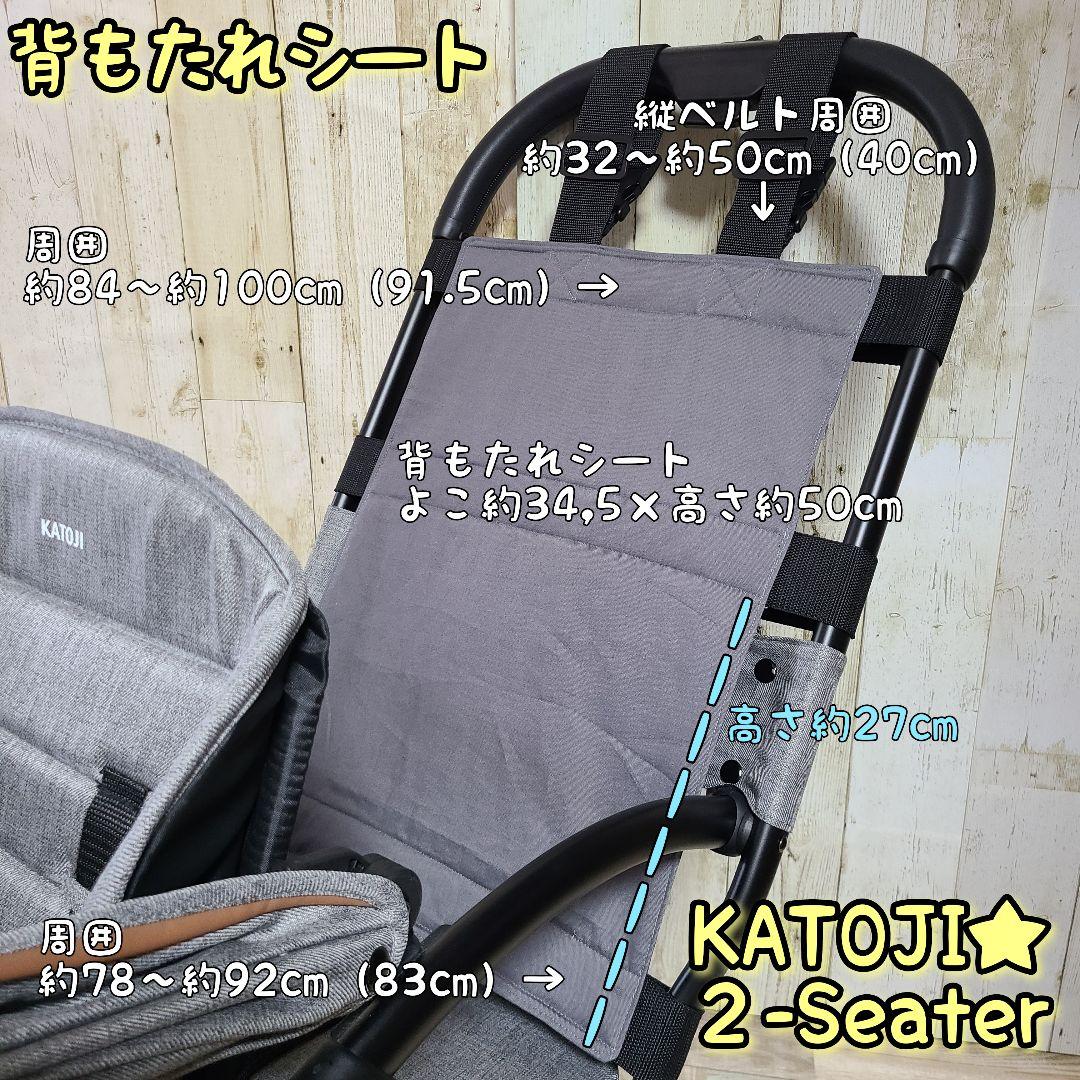 D*オーダー【受付】2-Seaterツーシーターカトージ　背もたれシート２人乗り