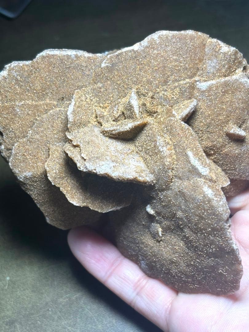 砂漠のバラ　デザートローズ　置物（新品未使用）大きめ　花の形　サハラ砂漠