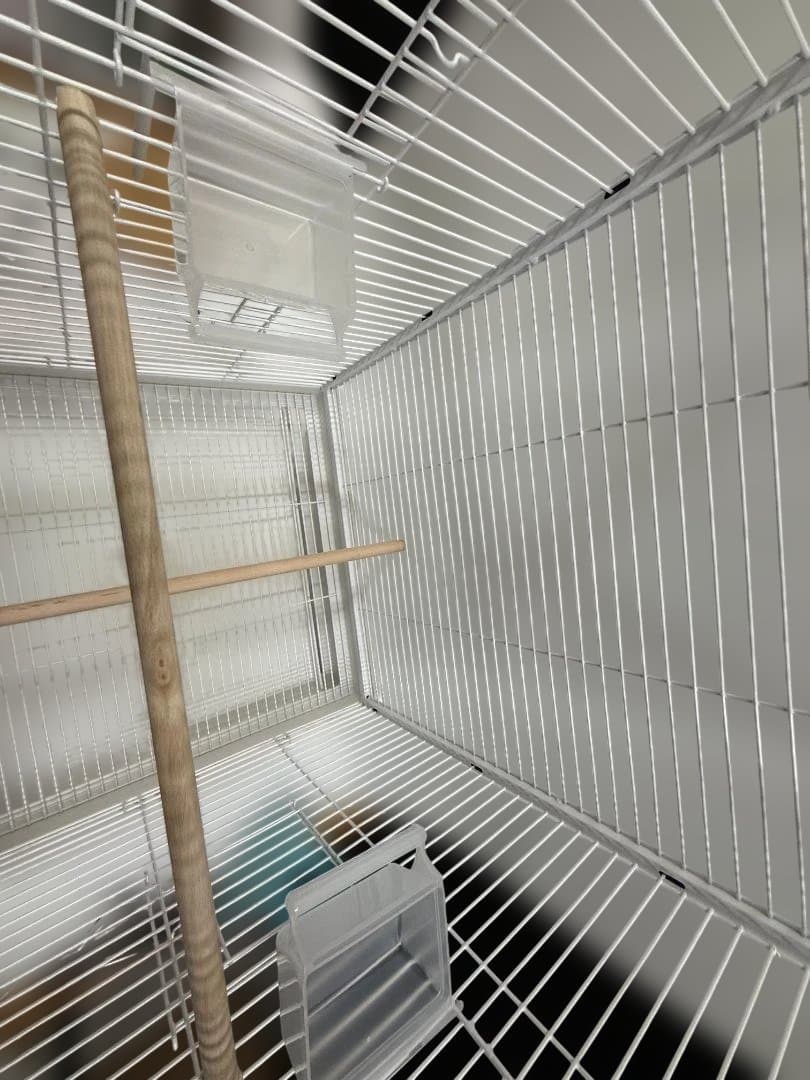 ホワイトアーチ型鳥かご