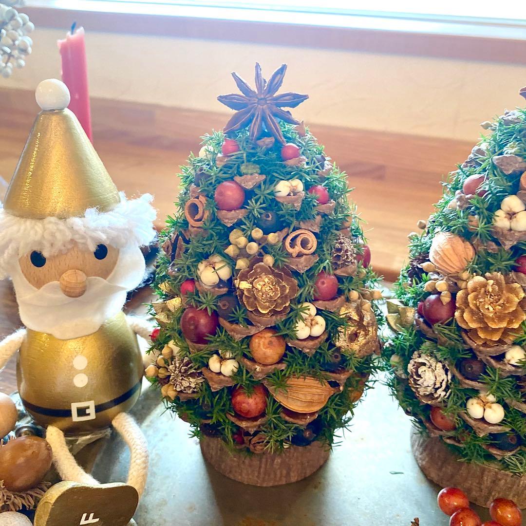 ⚠️専用品⚠️ 大王松 の 松ぼっくりツリー プリザーブド ドライフラワー ツリー