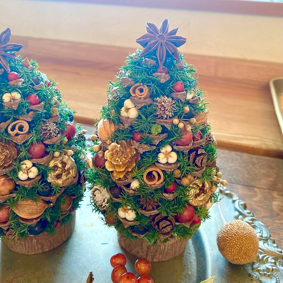 ⚠️専用品⚠️ 大王松 の 松ぼっくりツリー プリザーブド ドライフラワー ツリー