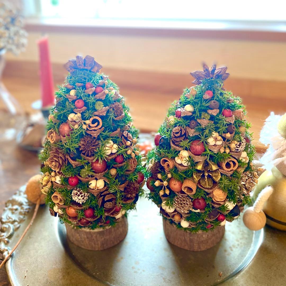 ⚠️専用品⚠️ 大王松 の 松ぼっくりツリー プリザーブド ドライフラワー ツリー