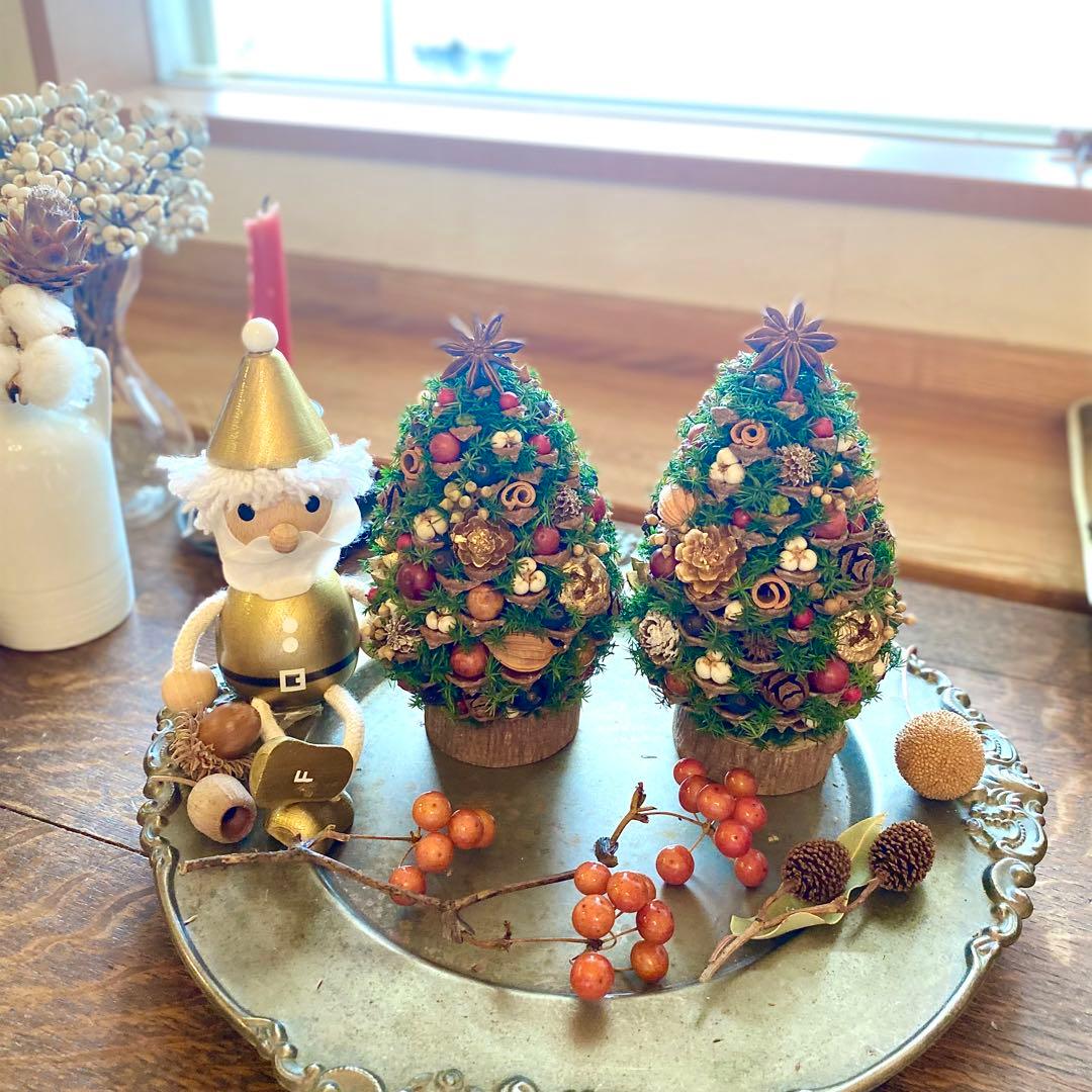 ⚠️専用品⚠️ 大王松 の 松ぼっくりツリー プリザーブド ドライフラワー ツリー