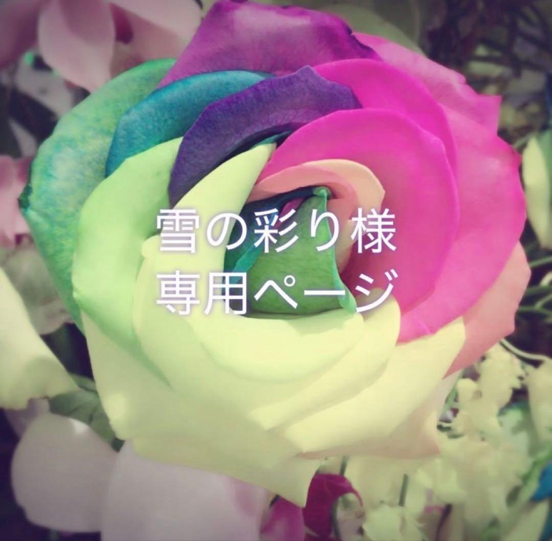 雪の彩りページ