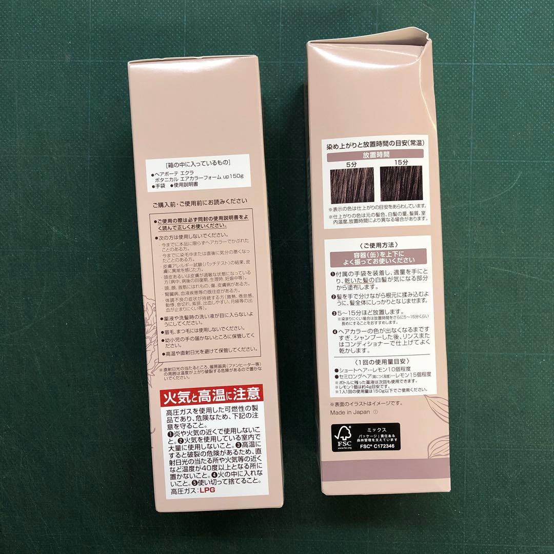 11) ヘアビューティー　エクラ　ボタニカルエアカラーフォーム　150g x2
