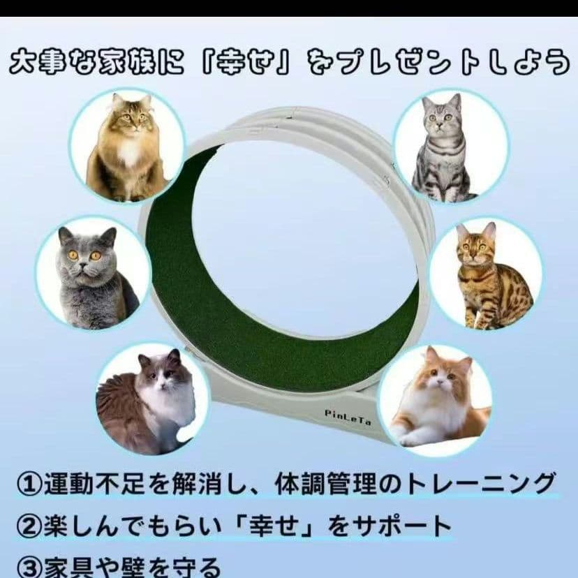 キャットホイール 猫 猫用品 ランニング ホイール　ブルー