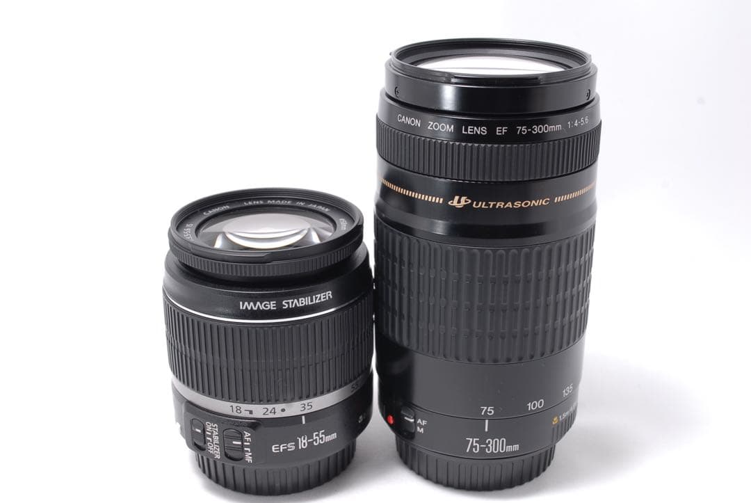 本格一眼レフ✨液晶動く＆超望遠セット！Canon 60D✨SDカード付き♪