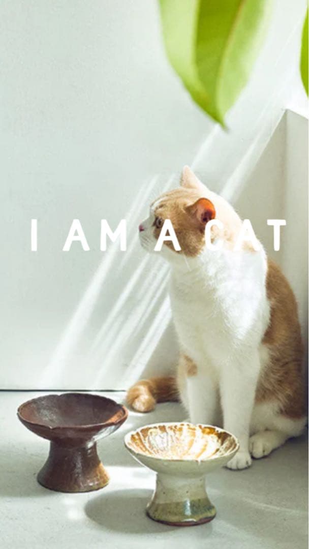 I AM A CAT ごはんのうつわ＆ガラスボウルとヴィンテージ糸巻きのＳＥＴ