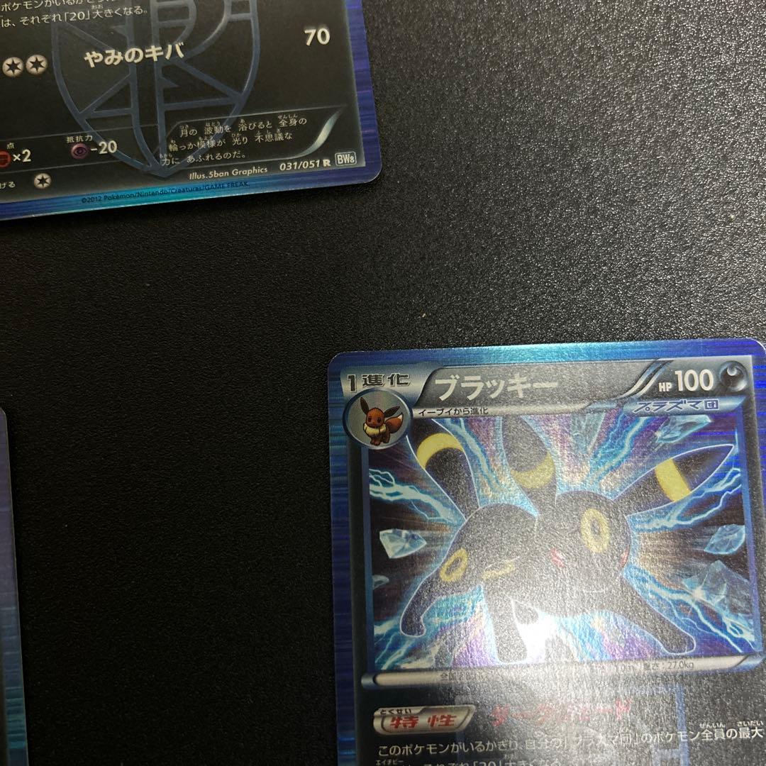 ブラッキー 031/051 BW8