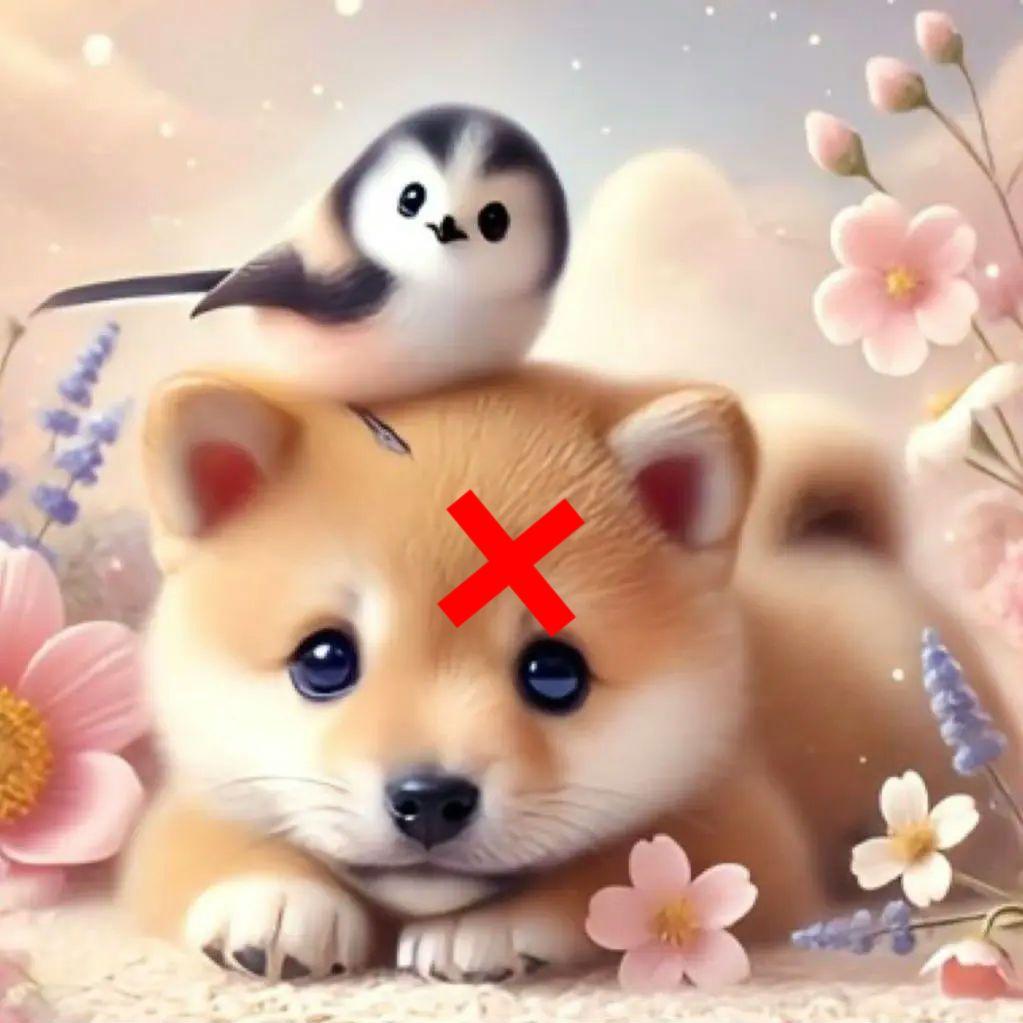 ポメラニアン、柴犬、チワワ、シーズとシマエナガパネル生地　ハンドメイド