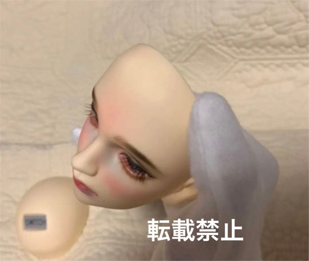 SWITCH sohwa ドールヘッド SD17