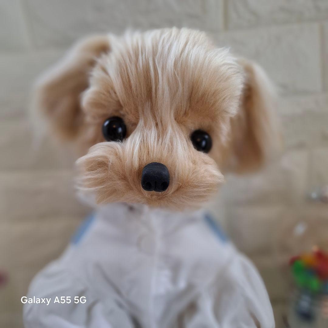 ぬいぐるみ、マルプー、トイプードル、犬、ハンドメイド、リアルサイズ、全身可動