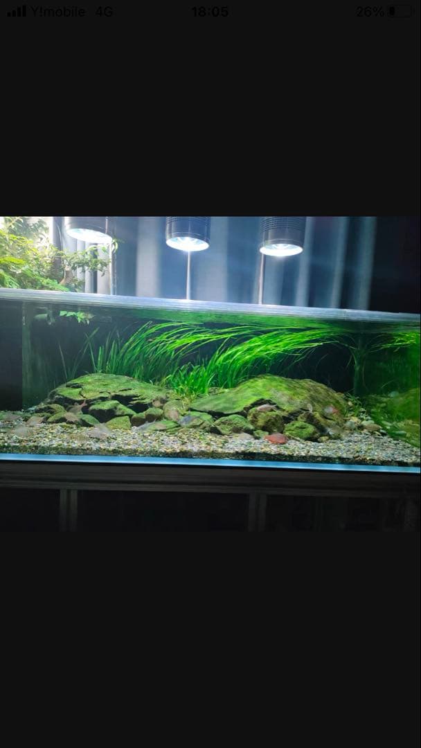 10Lろ材水質浄化抜群濾過フィルター自社製高品質セラミックリング送料込み即時発送