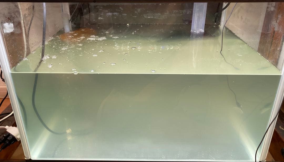 10Lろ材水質浄化抜群濾過フィルター自社製高品質セラミックリング送料込み即時発送