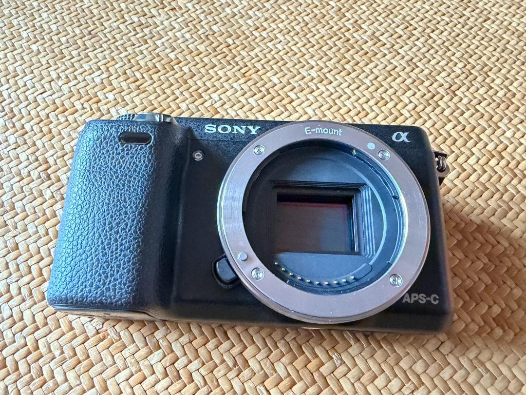 SONY α NEX-6 ミラーレス一眼レンズキット