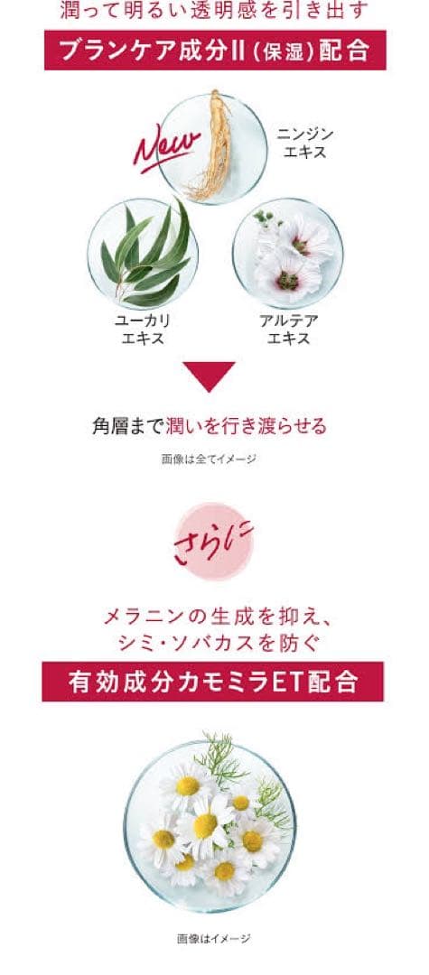 アルブラン　ザ　UV  エマルジョン　サンプル　8067円相当分
