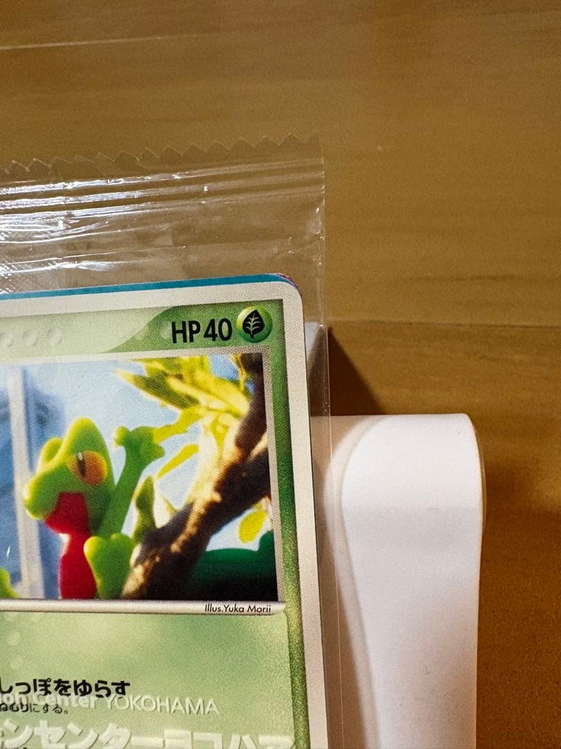 ポケモンカード　キモリ ポケモンセンターヨコハマプロモカード 037/PCG-P