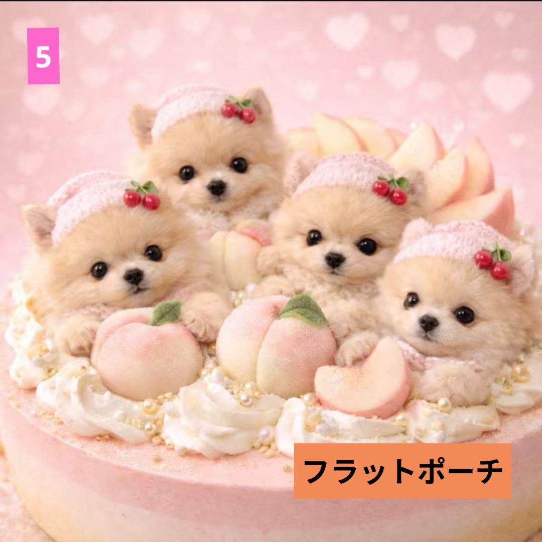 きゃんべる様ご確認用ページ♥オーダー品