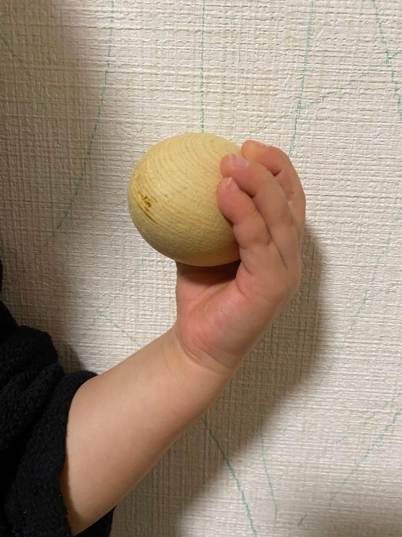 【業務用50個】青森ひばのたまご 圧倒的ボリューム！家中まるごと消臭・抗菌・防虫