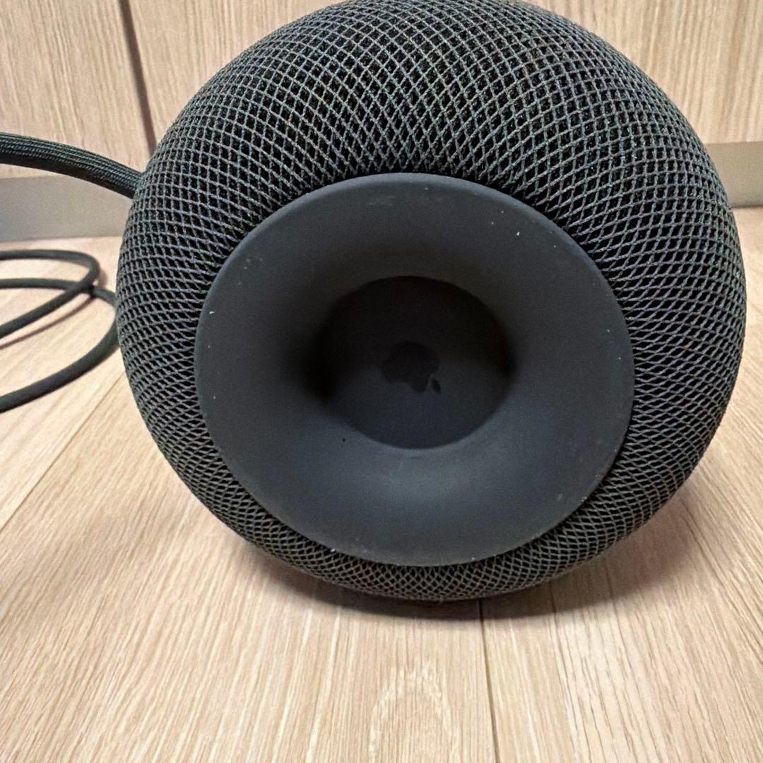 Apple Pod スペースグレー第一世代