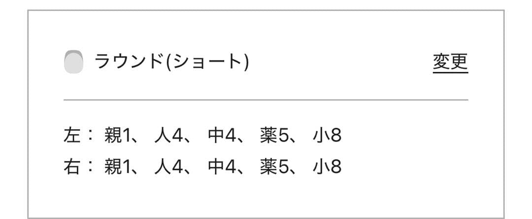 ever nail ネイルチップ