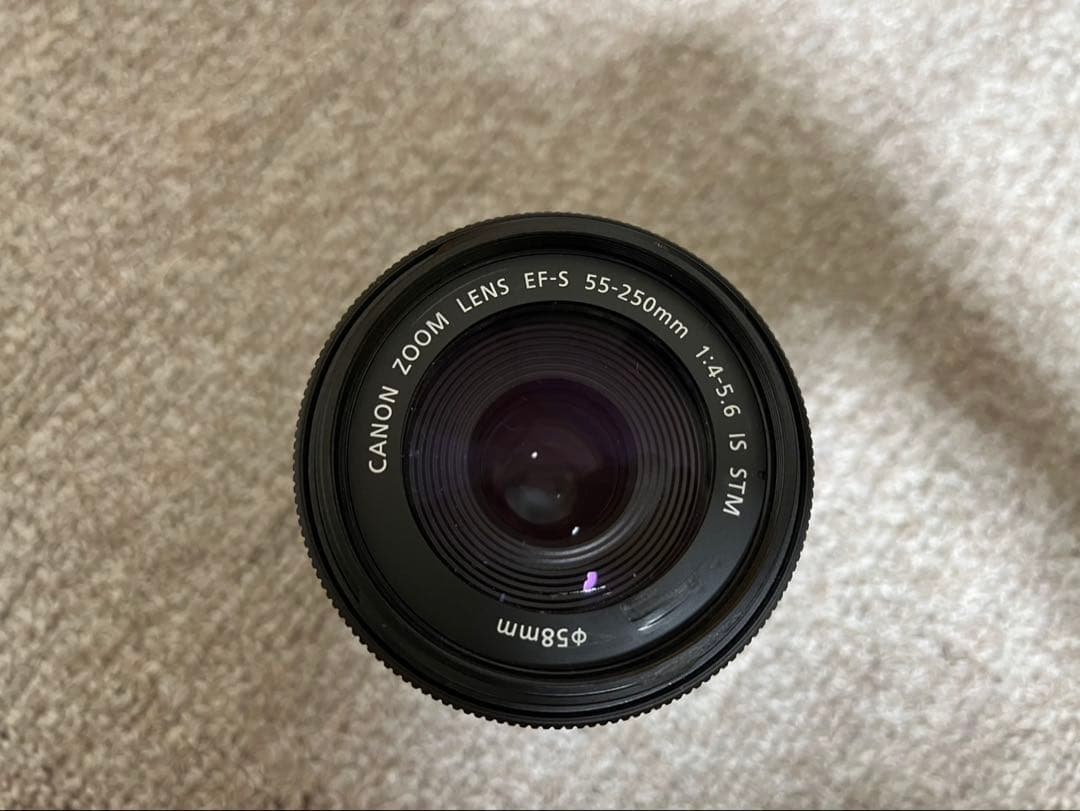Canon 望遠ズームレンズ EF-S55-250mm F4-5.6 IS