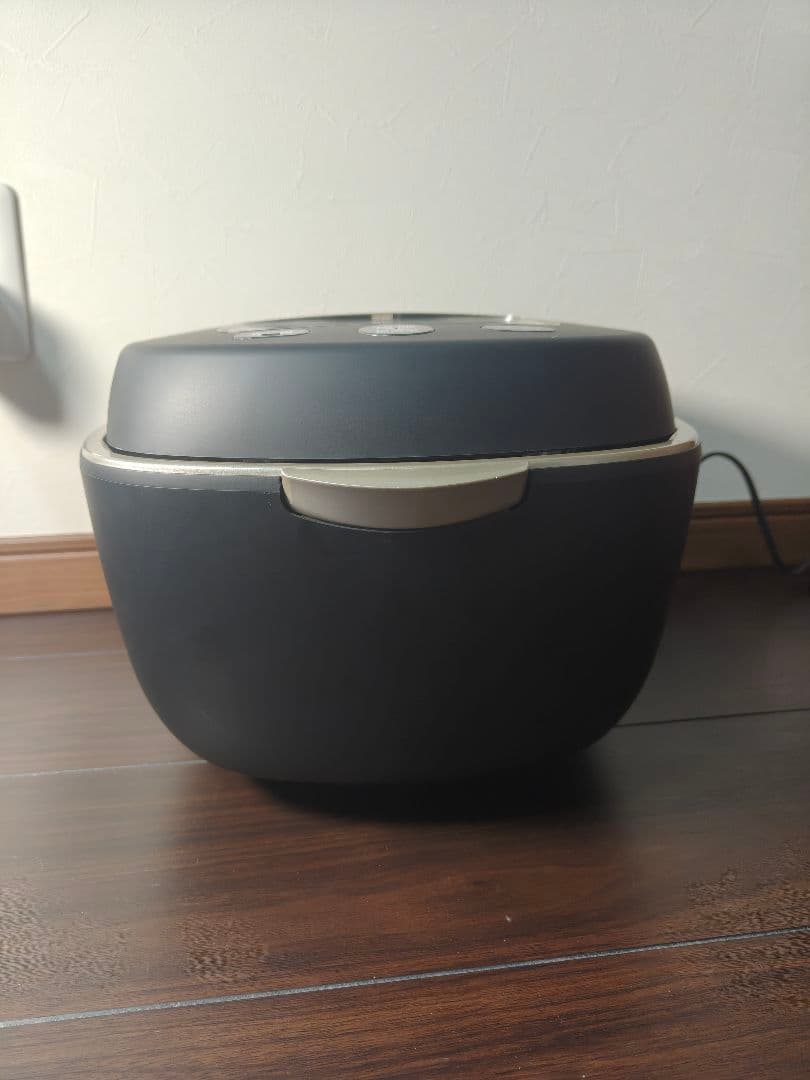 ダイガー ご泡火炊き JPL-S100 炊飯器 5.5合 土鍋圧力IH式 土鍋