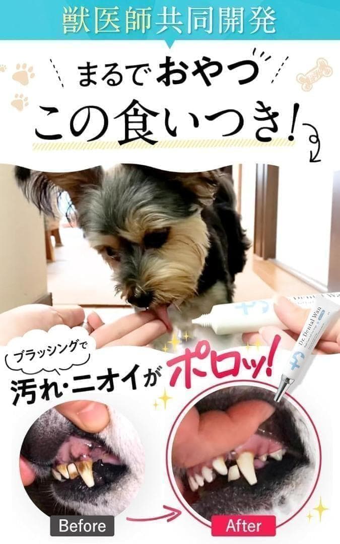【新品未使用】 ドクターデンタルワン 4個セット 犬 歯磨き
