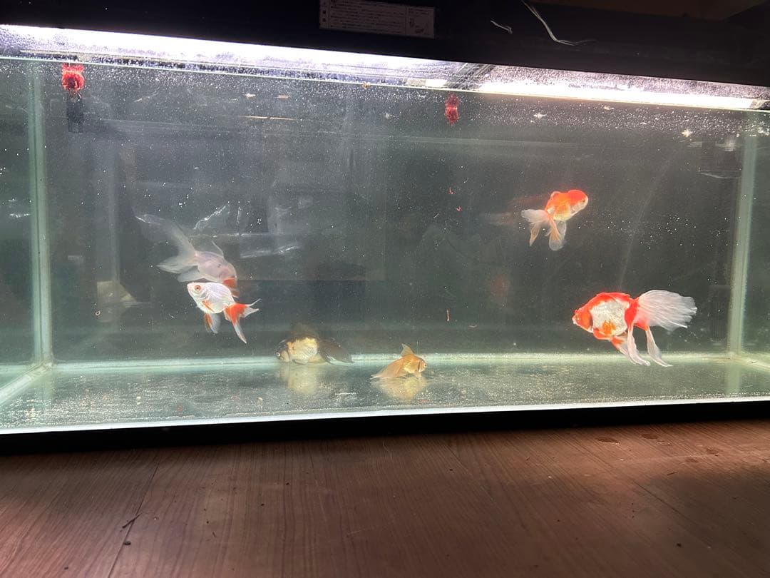 1200水槽　1200×450×450