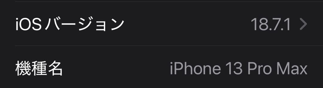 【美品・初期化済】iPhone 13 Pro Max グラファイト 256GB