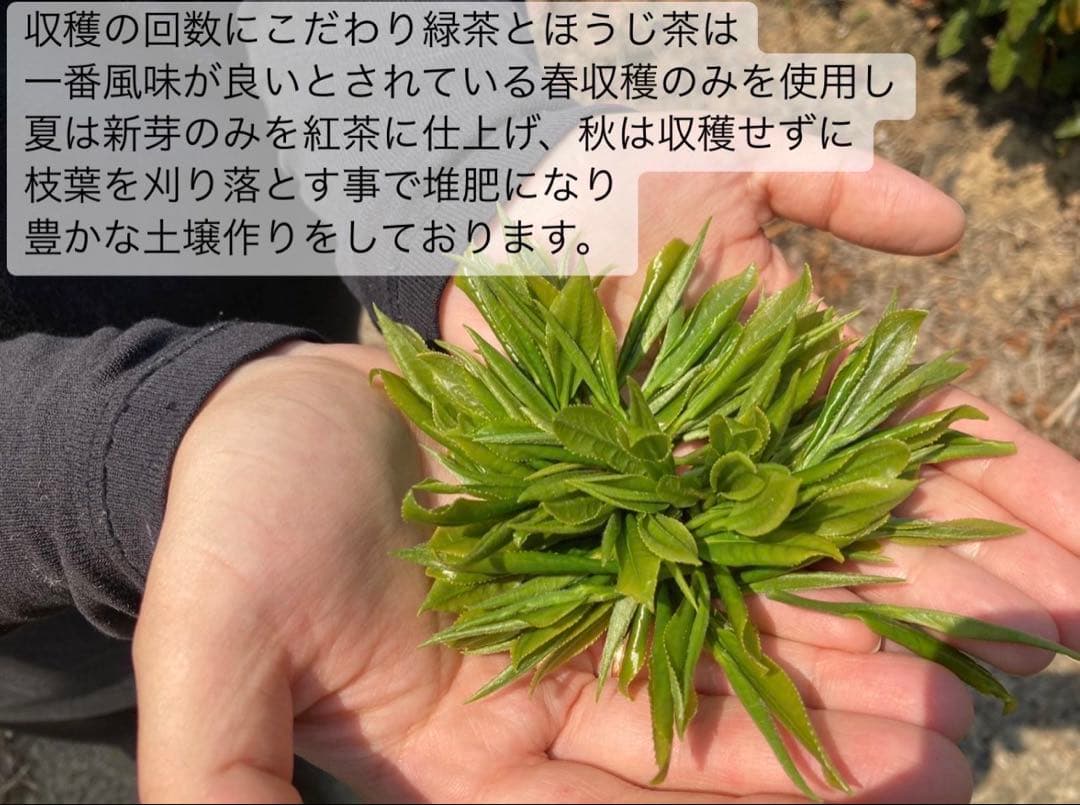 【農薬不使用】パウダー10種類飲み比べセット60本(各3本入り×10種類)×2