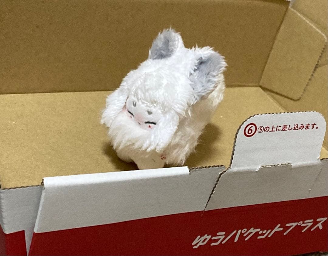 セミオーダー・カナリア