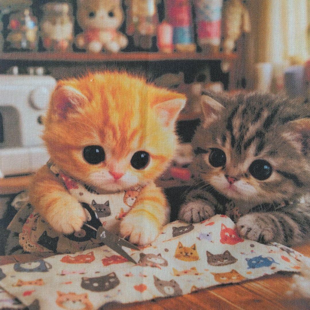 ☆受付☆猫 №2
