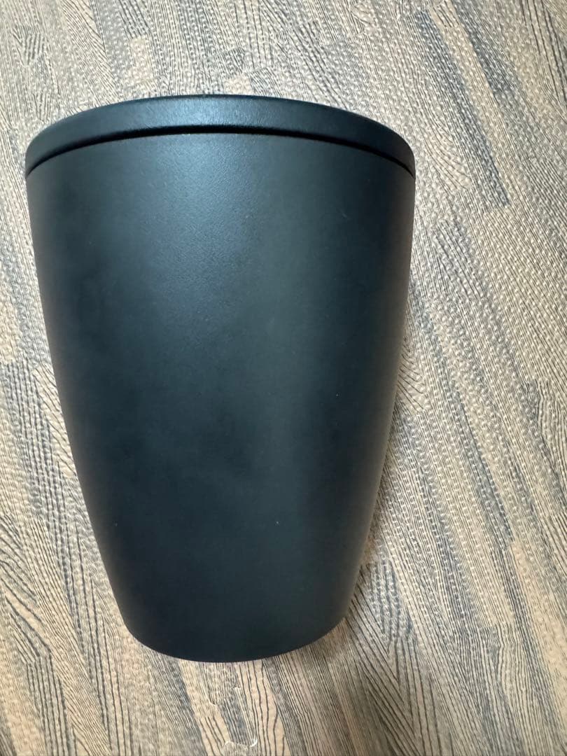 BOSE ボーズ DM5P 1本