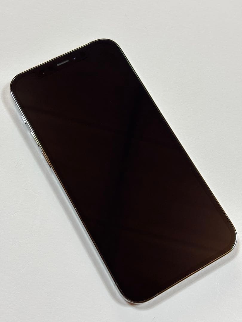 【週末限定セール中！】iPhone 12 Pro グラファイト 256GB 美品