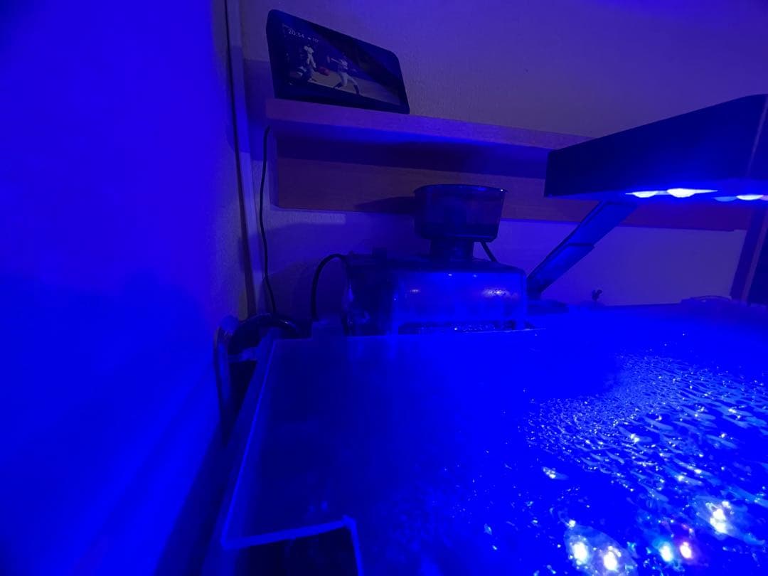 ADA60㎝水槽　クーラー　マーフィード浄水機 水槽台 引取希望（有料にて配達）