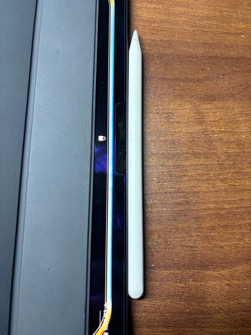 【純正品】Apple Pencil (第2世代)アップルペンシル　即日発送