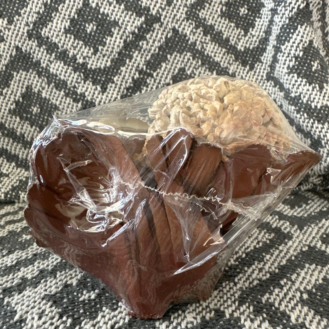 竹内祥子 陶器人形 妖精