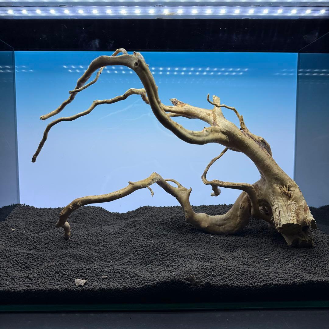 MDW-6987 特大ブランチウッド　流木　枝流木　アクアリウム