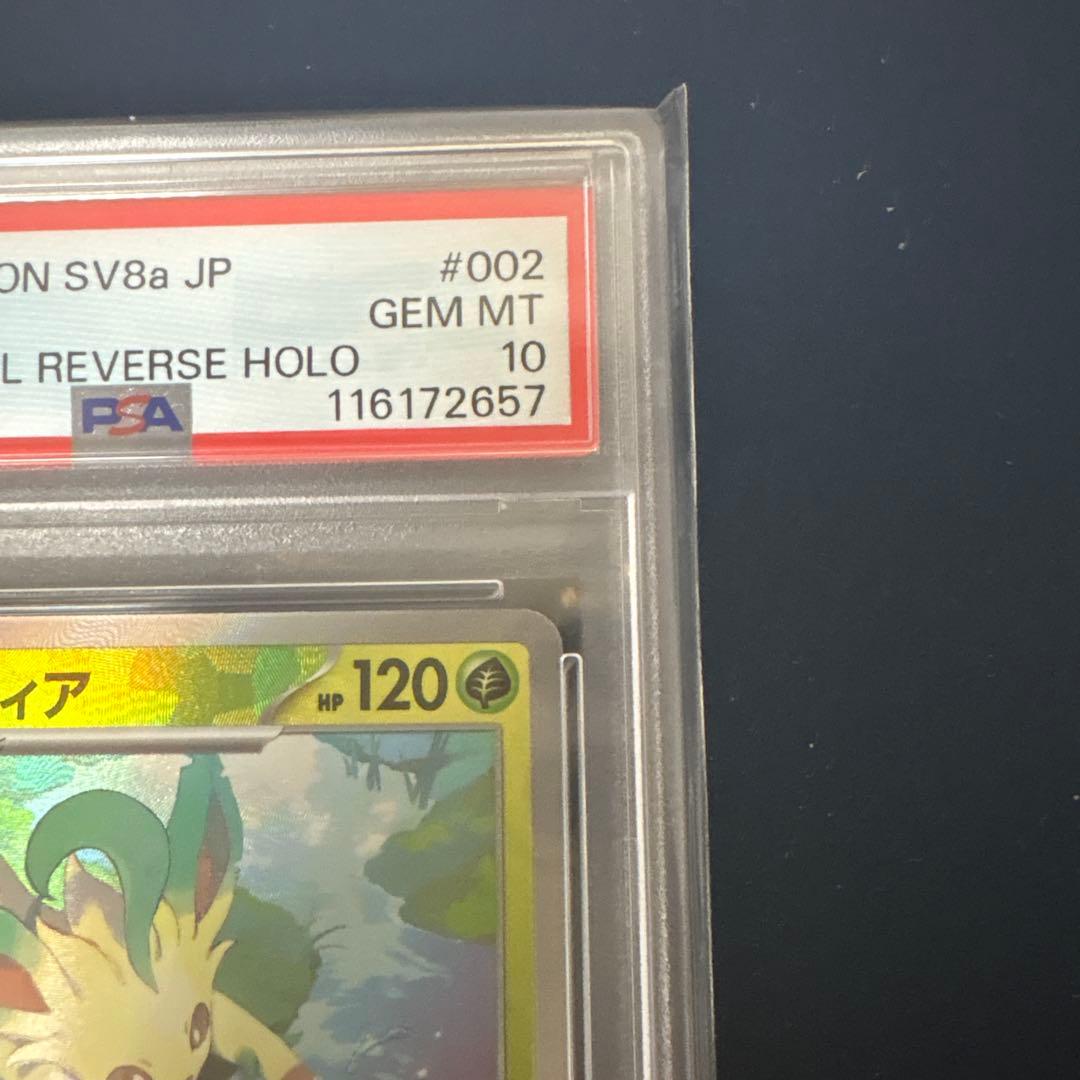 リーフィア マスボミラー テラフェス PSA10